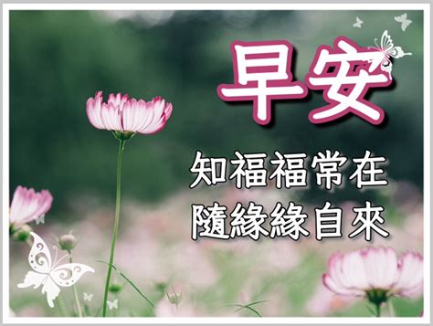 考試順利長輩圖|長輩圖！LINE長輩圖免費下載